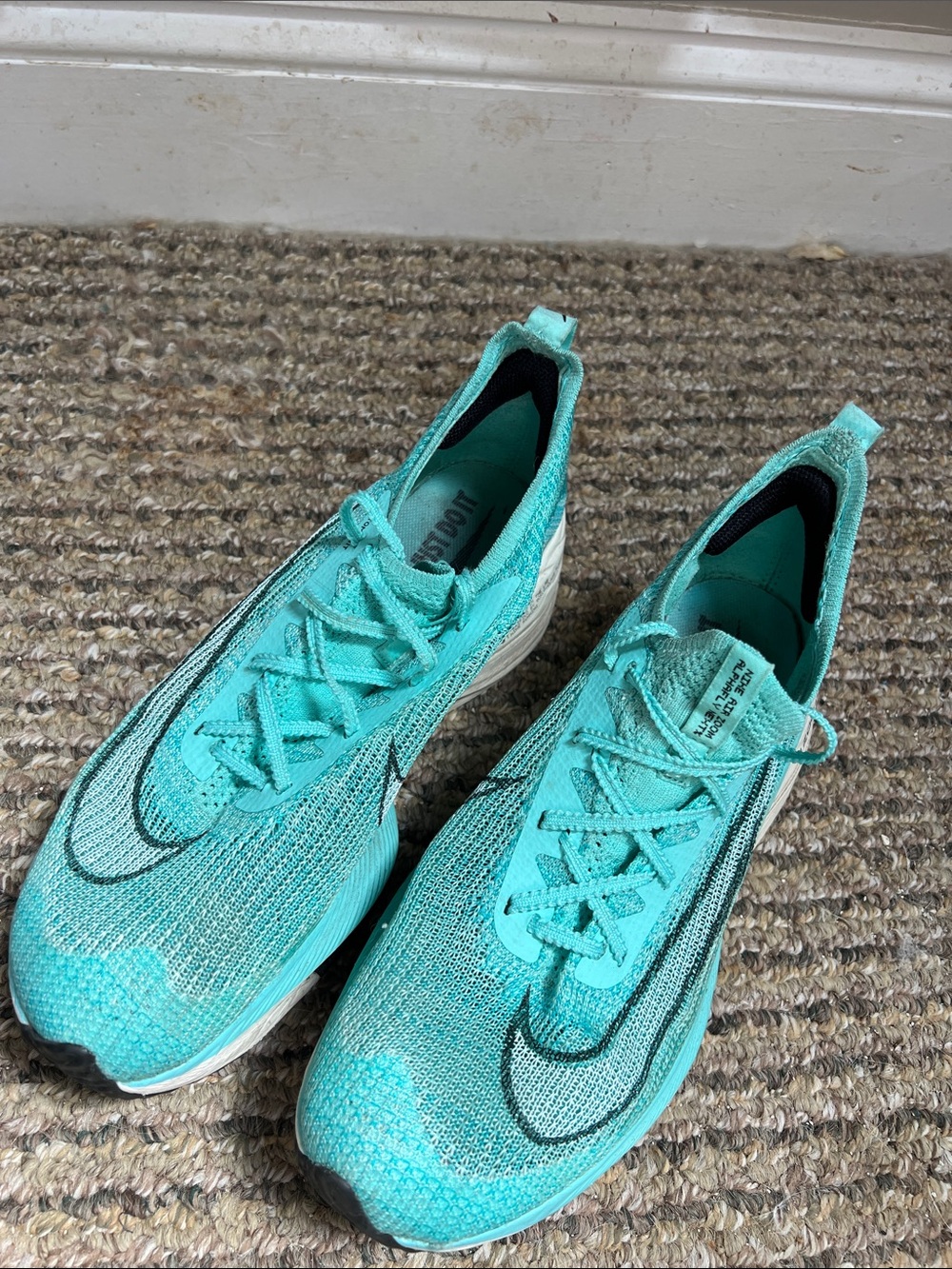 Nike Air Zoom Alphaflys men’s 9